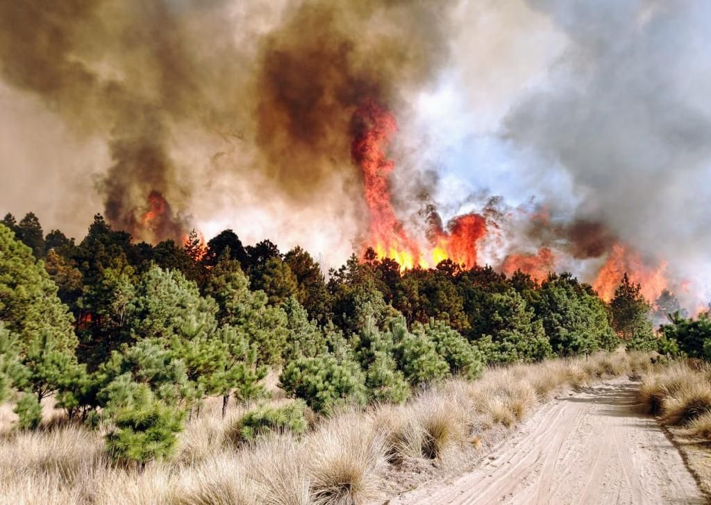 Atiende GEM incendio forestal en Toluca