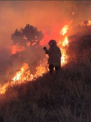 Trabajo intermunicipal de los cuerpos de bomberos permitió sofocar incendio en zona montañosa de La Purificación Texcoco