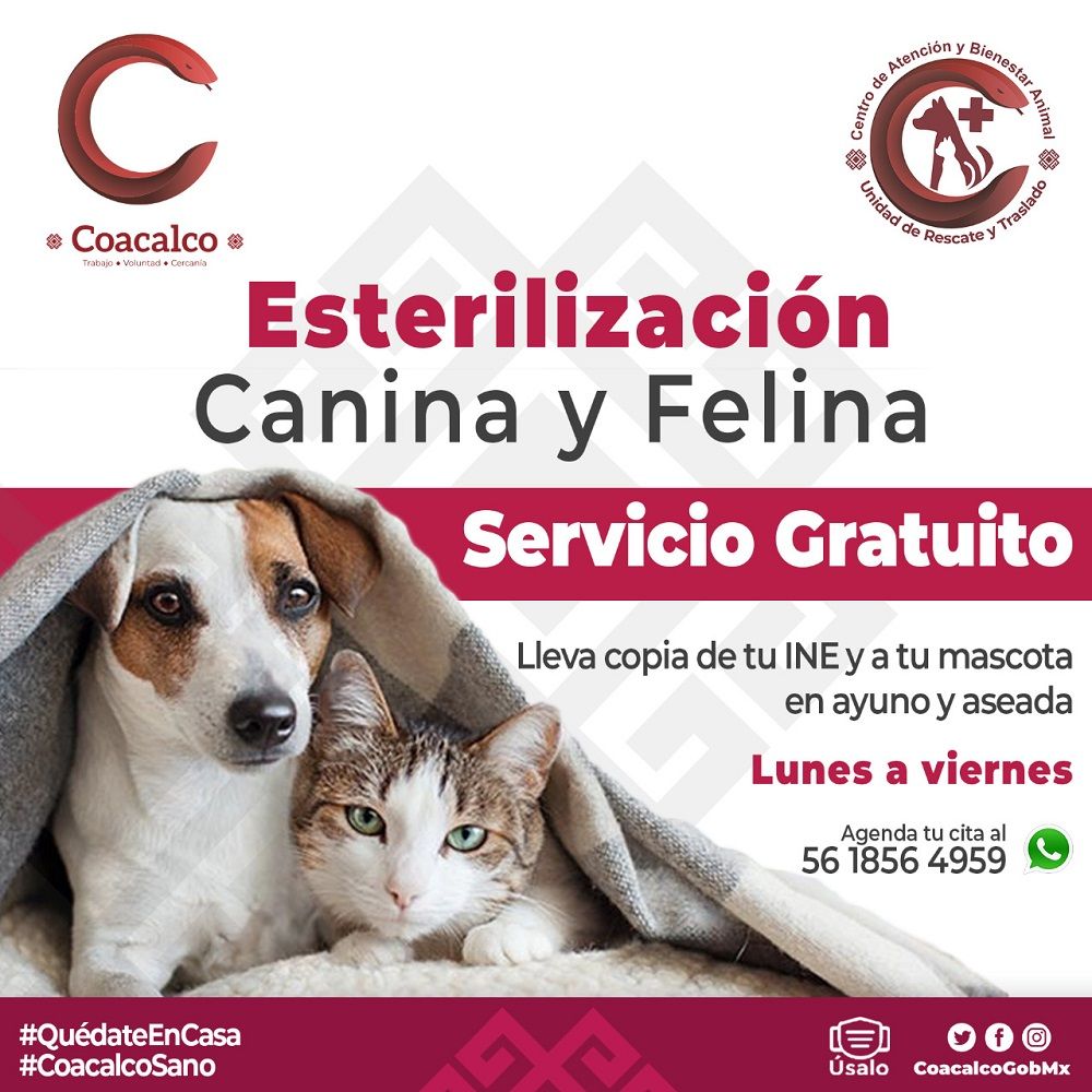 Coacalco mantiene acciones para el bienestar animal