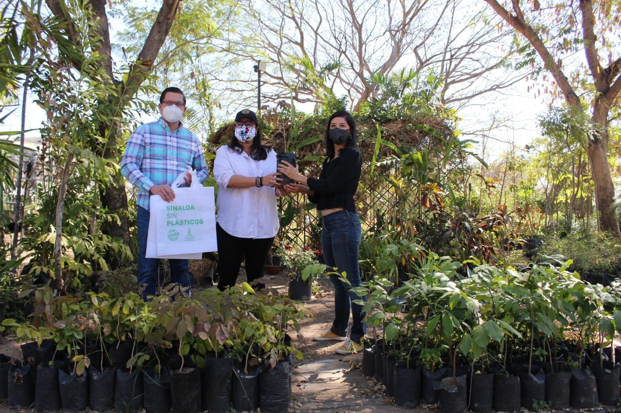 SEDESU y Jardín Botánico invitan a adoptar una planta para lograr un mundo más vivo
