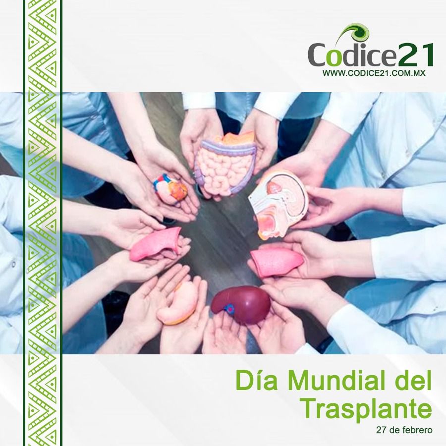 Día Mundial del Trasplante 