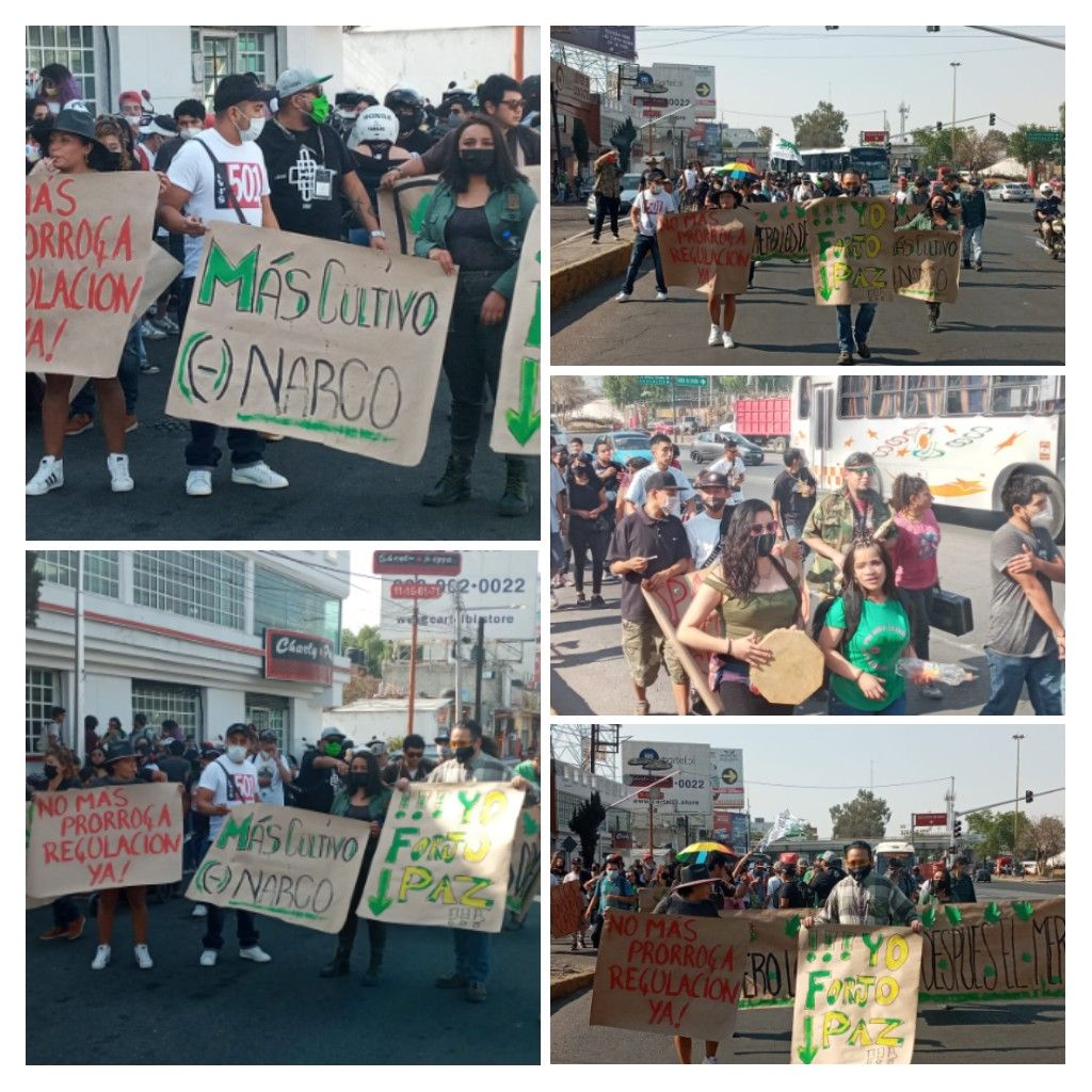 Movimiento Cannábico marcha en Ecatepec; piden respeto a sus derechos