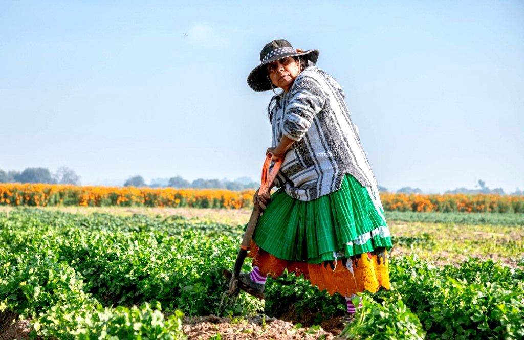 El GEM felicita a trabajadoras y trabajadores mexiquenses del Sector Primario, por motivo del Día Mundial del Campo
