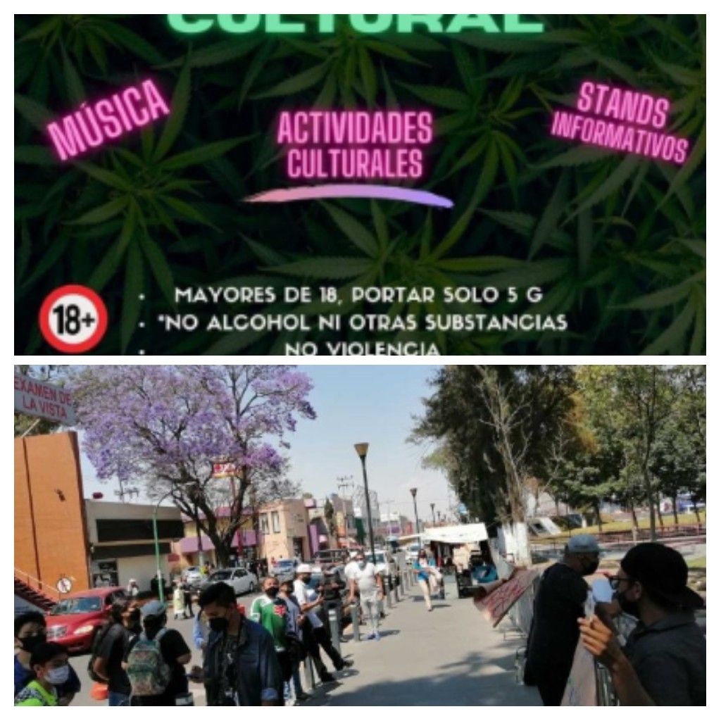 Integrantes del Movimiento Cannábico Mexicano efectuaron el segundo  ’Fumatón’ en Ecatepec 