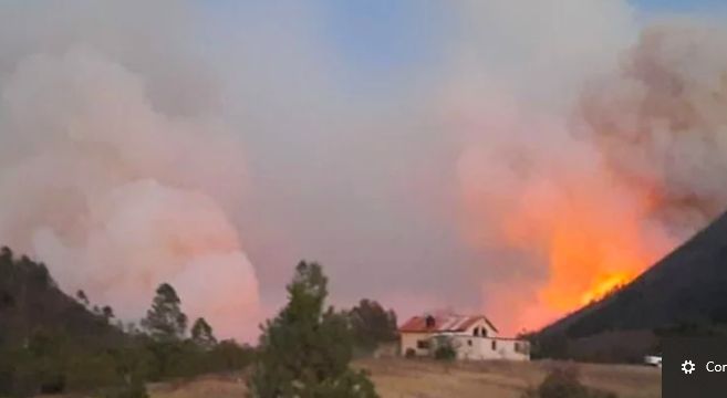 Afecta incendio de la Sierra de Arteaga a fauna y flora de la región