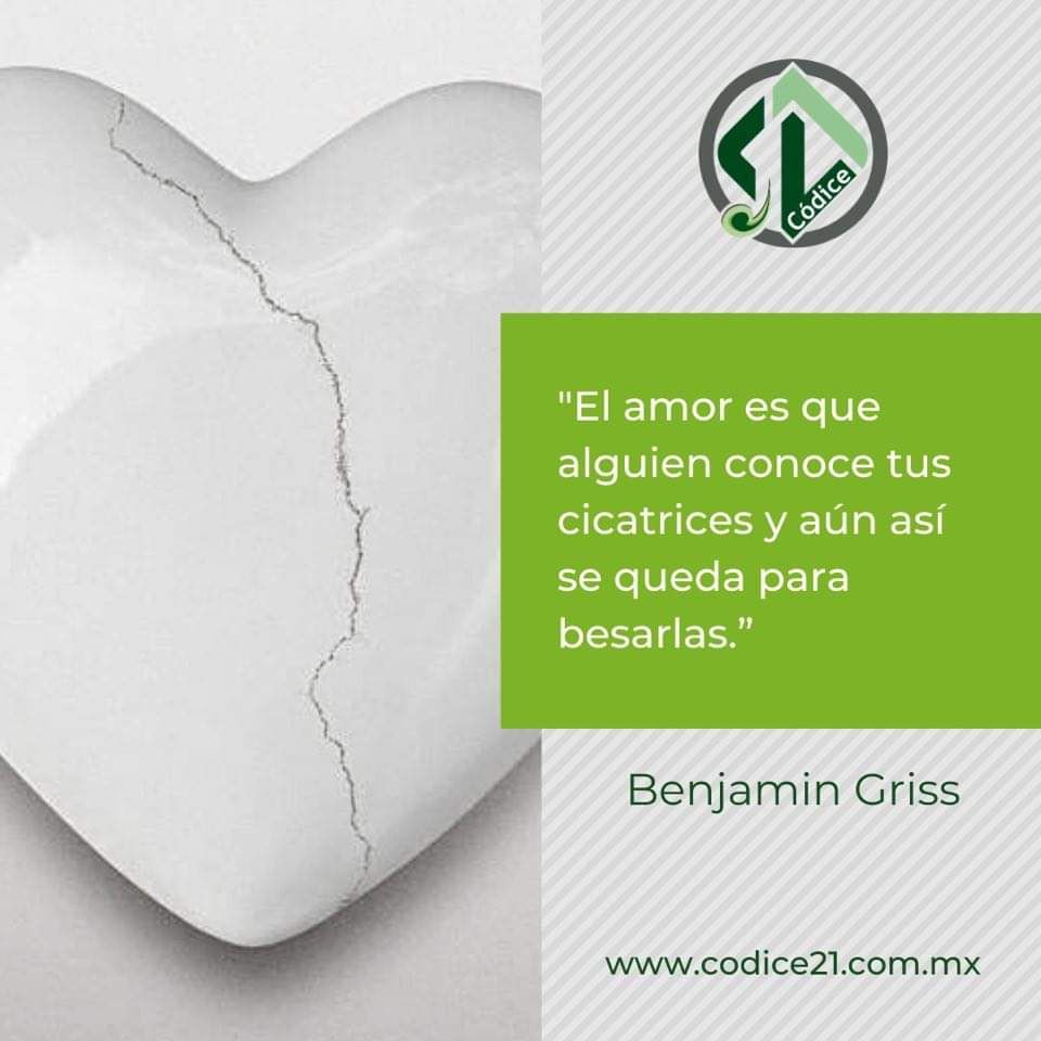 El amor es que alguién conoce tus cicatrices y aún así se queda para besarlas