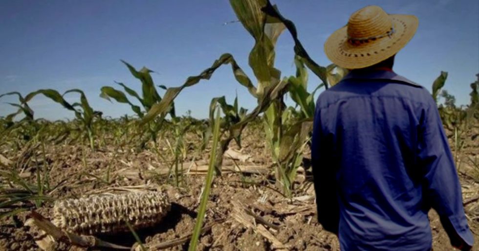 En sequía el 99.8% de la superficie de Hidalgo: Conagua