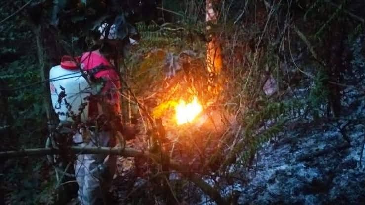 Se registra primer incendio forestal de la temporada en Atoyac