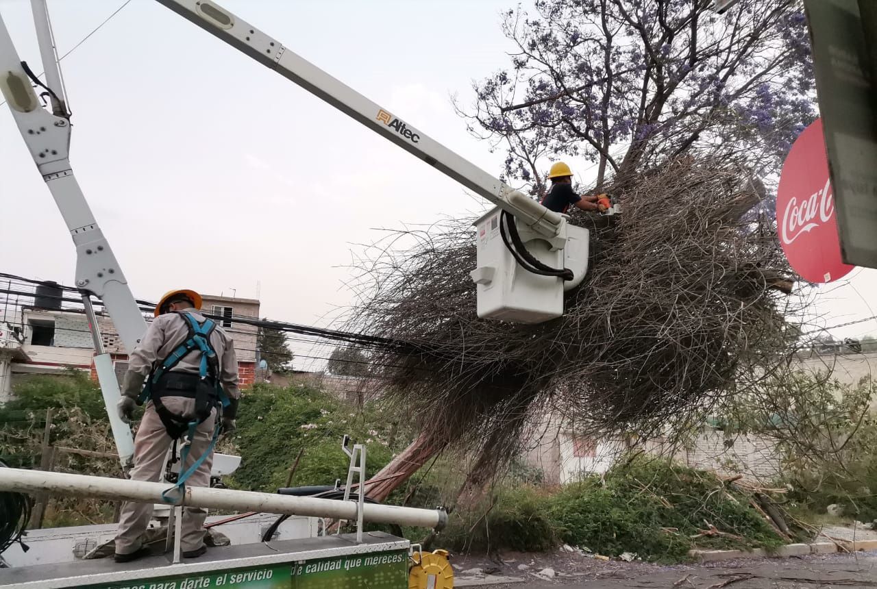 Caída de ramas y árboles en Chimalhuacán por vientos atípicos