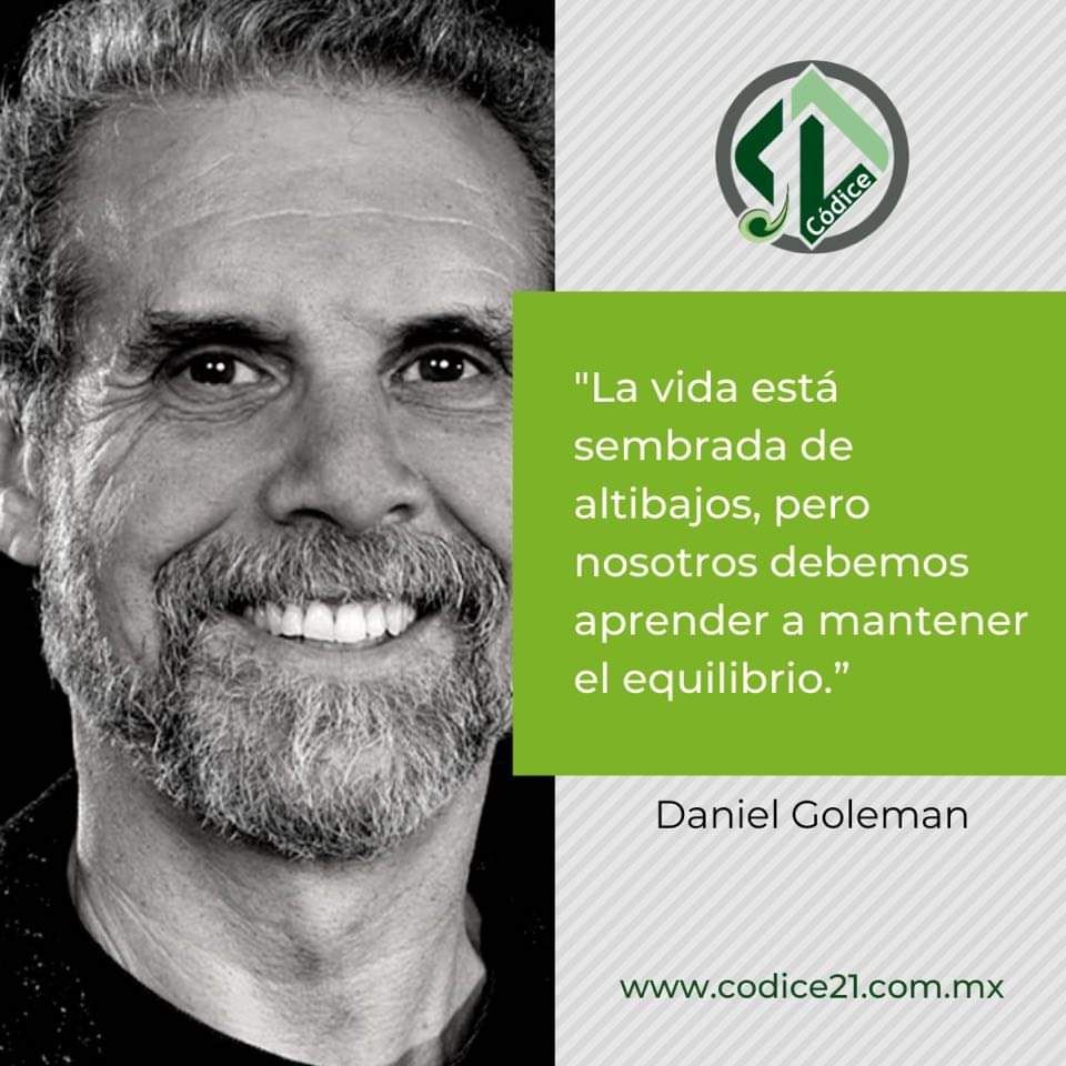 La vida está sembrada de altibajos, pero nosotros debemos aprender a mantener el equilibrio