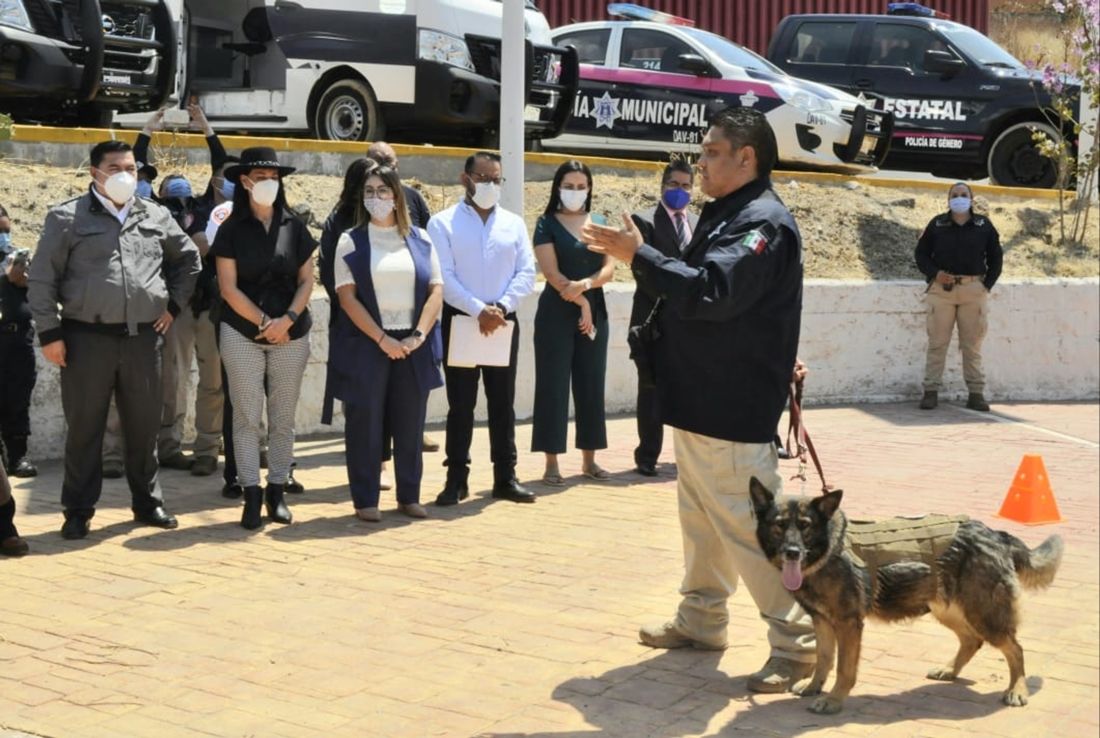 Supervisan #acciones para prevenir y atender la #violencia  de género 
