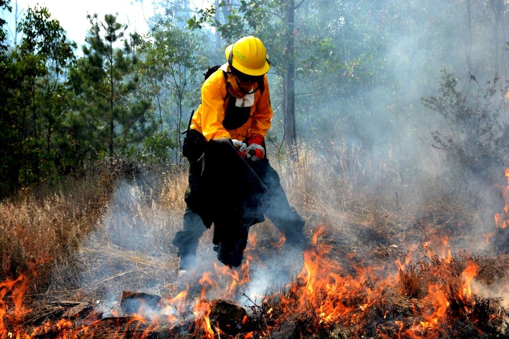 Atienden 150 incendios forestales durante el periodo vacacional de Semana Santa