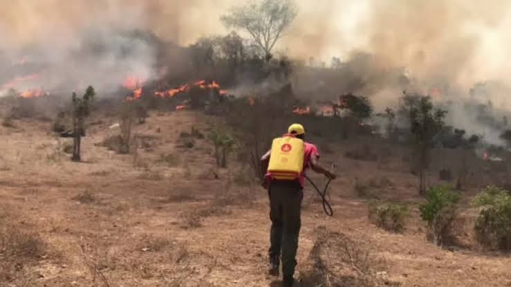 Unos 15 incendios forestales han sido sofocados en San Marcos
