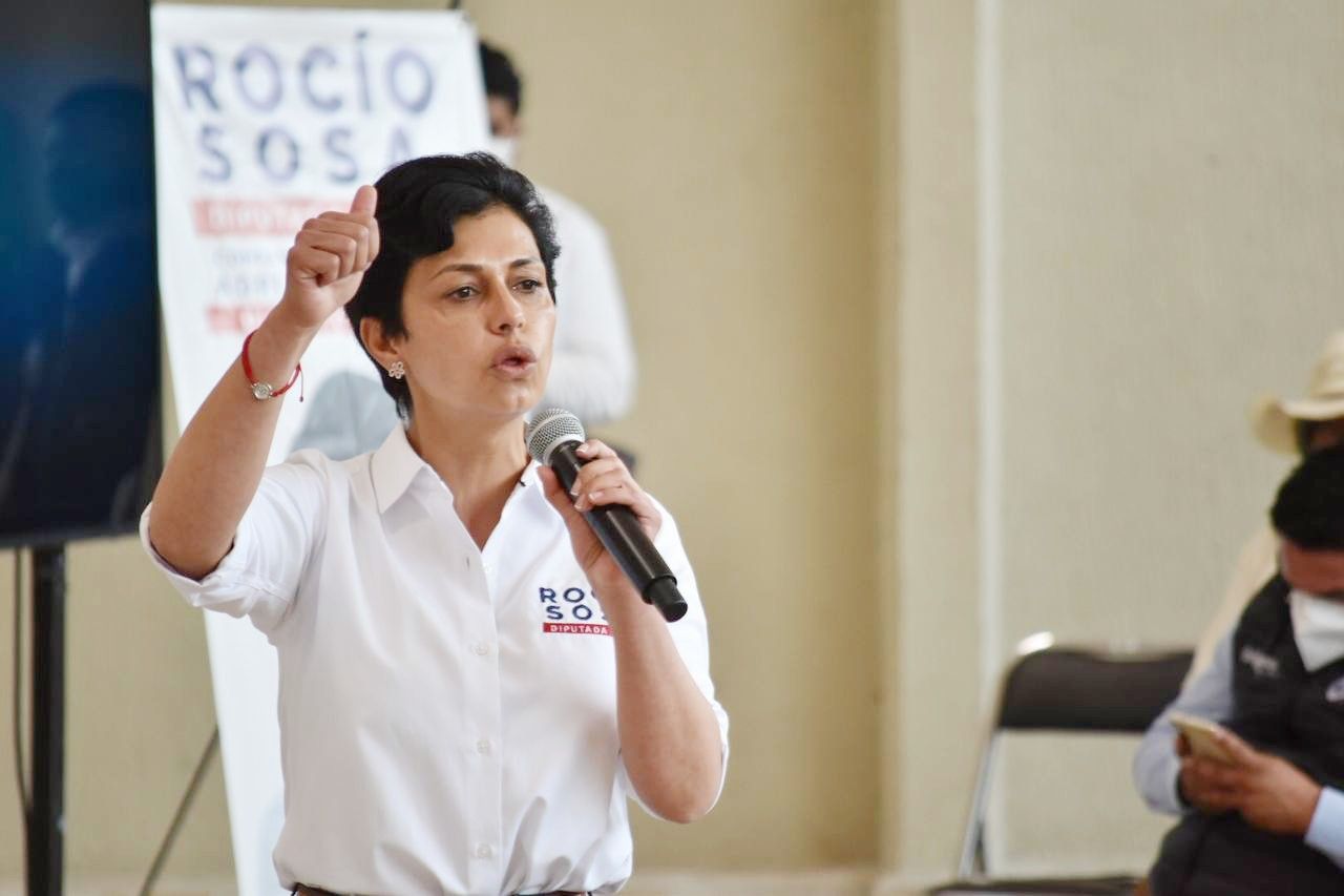 "Defenderé los recursos y programas sociales en beneficio de mujeres y jóvenes": Rocío Sosa 