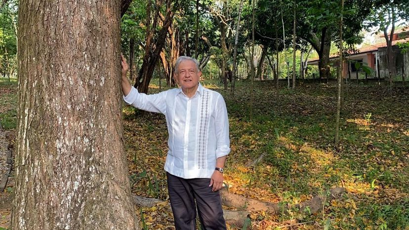 López Obrador propone a Biden sembrar árboles en Centroamérica para detener la migración y el cambio climático

