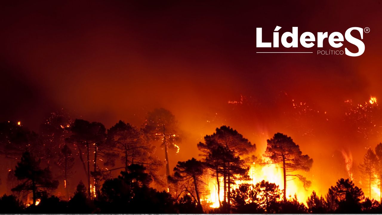 Instan por mayor apoyo y capacitación para combatir incendios forestales en Hidalgo