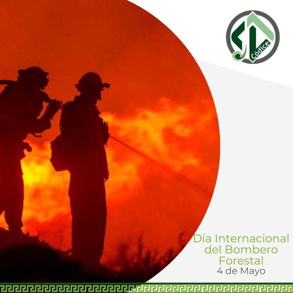 Día Internacional del Bombero Forestal 
