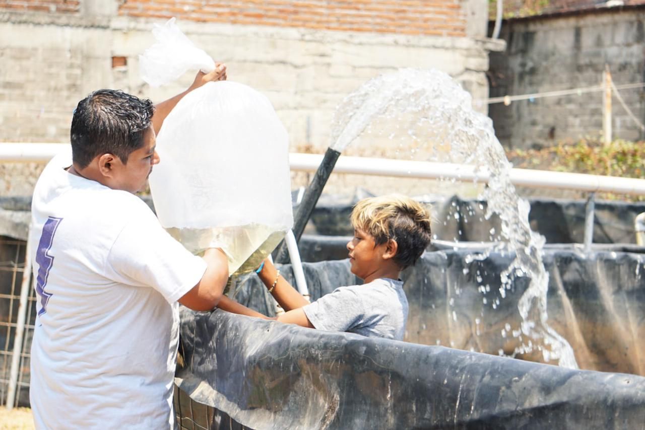 Alfredo Mate desarrolla estanques de acuacultura para generar empleos en Acapulco