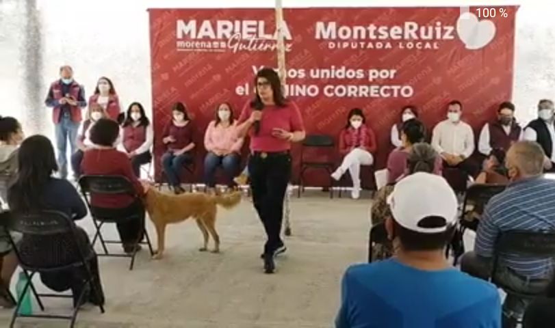 Seguiré trabajando para cumplir compromisos a ciudadanía: Mariela Gutiérrez