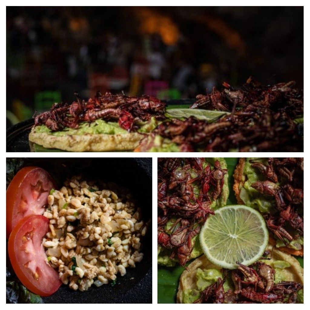 Chinicuiles, escamoles, chapulines y caracoles son algunos de los ingredientes de la gastronomía Teotihuacana