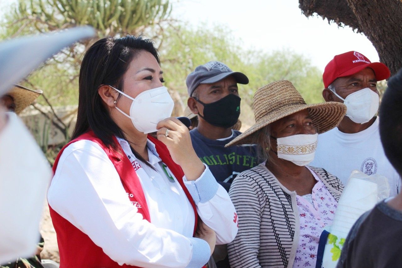 Anel Torres: Tras la pandemia, una visión productiva debe orientar a Ixmiquilpan