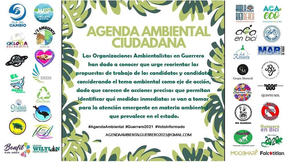 Ambientalistas de Guerrero solicitan a los candidatos publiquen su agenda ambiental