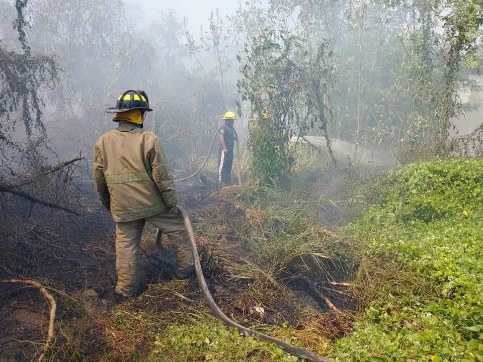 Bomberos de Acapulco ha controlado y sofocado 58 incendios forestales en mayo 
