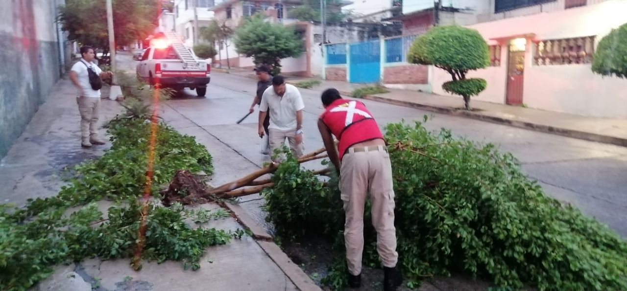 Intensifica Gobierno de Acapulco limpieza y acciones preventivas por lluvias 