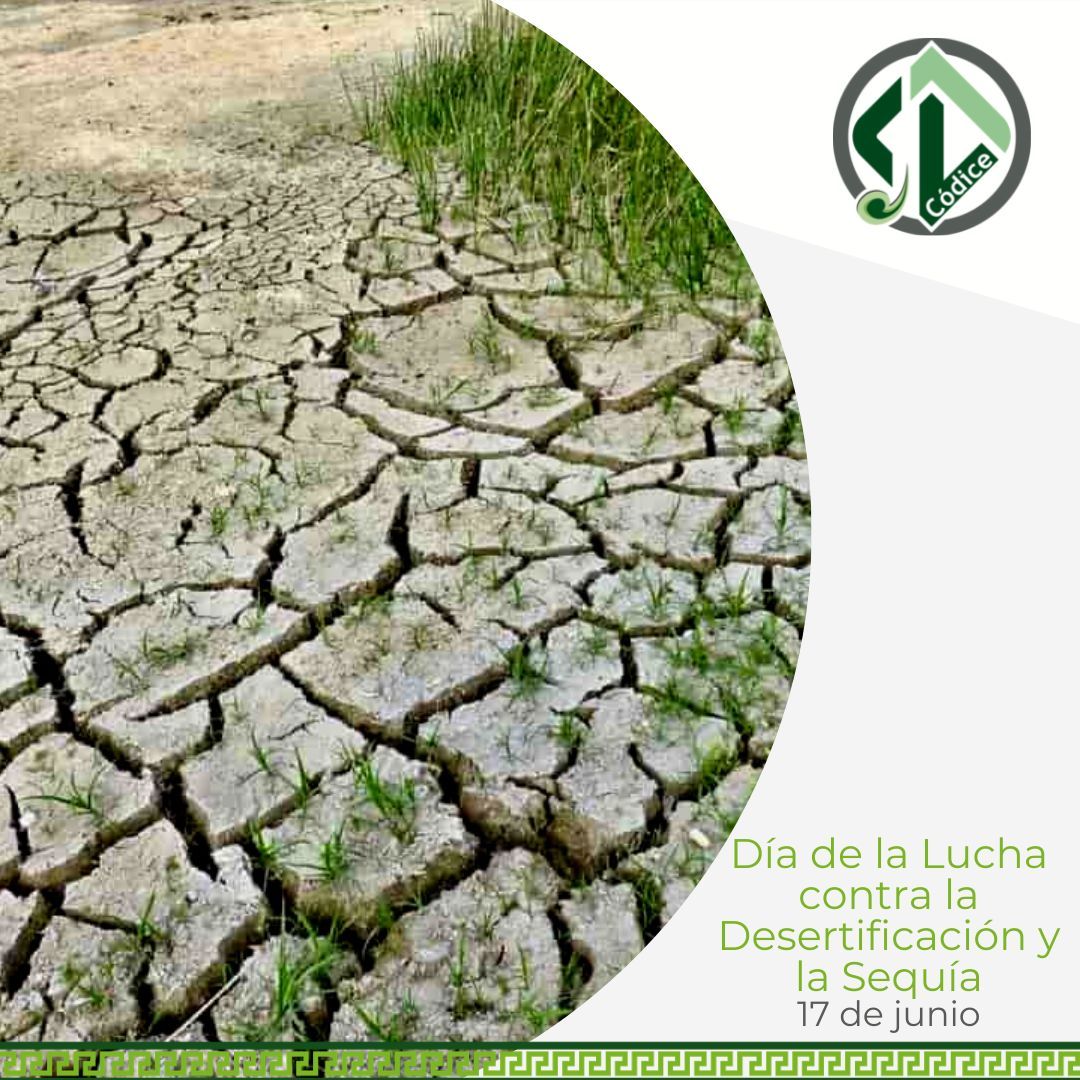 Día Mundial de Lucha contra la Desertificación y la Sequía
