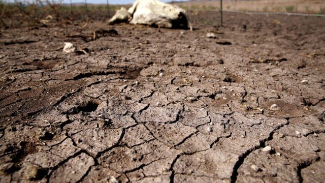 Sequía en México se debe al fenómeno de la Celda de Hadley: SMN