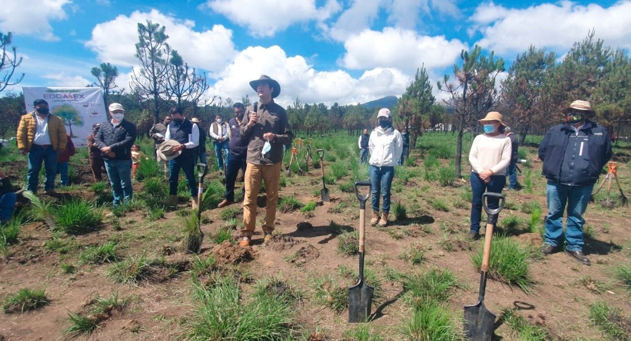 Inicia Probosque Reforestación en 
bienes comunales de Santiago Tlacotepec
