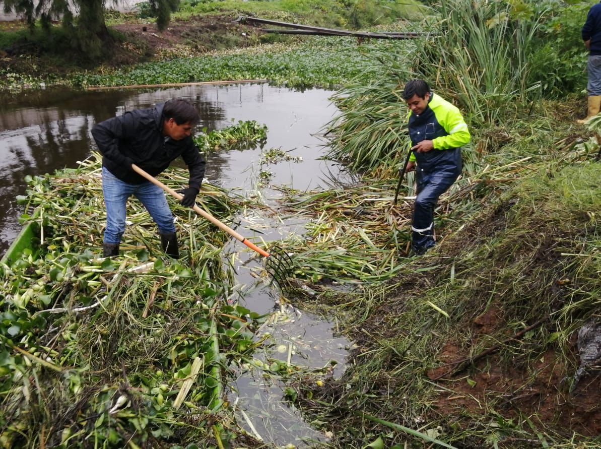 #Autoridades de Xochimilco, Iztapalapa, Tláhuac, Sacmex y Corena limpian el #Canal de Chalco con lel fin de #evitar inundaciones 
