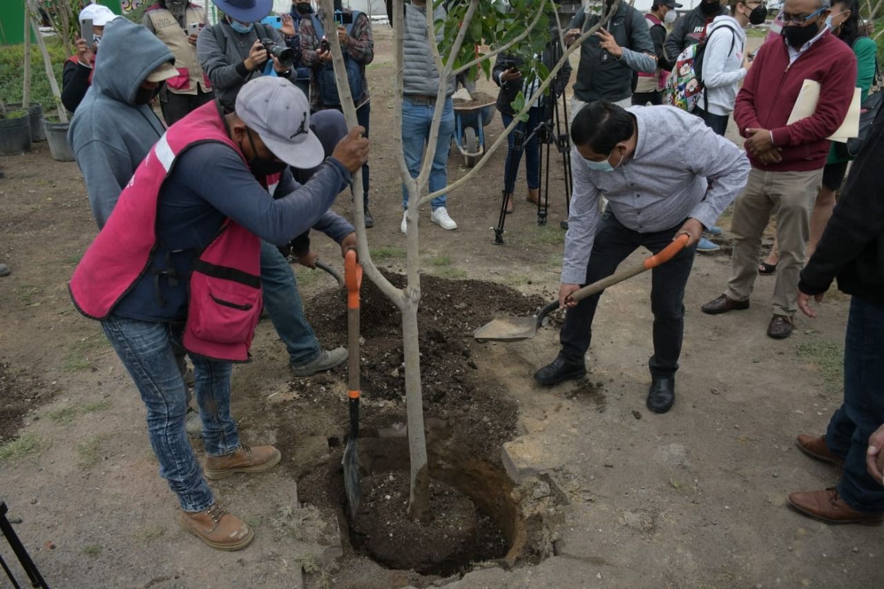#Hoy Día Mundial del Árbol. El Bordo de Xochiaca será bosque urbano: Juan Hugo de la Rosa
