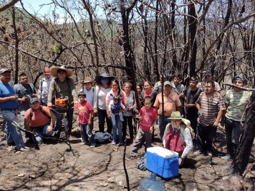  ’Restaurar el daño ecológico por incendios forestales, es la prioridad del Gobierno Municipal’: Marcos Parra