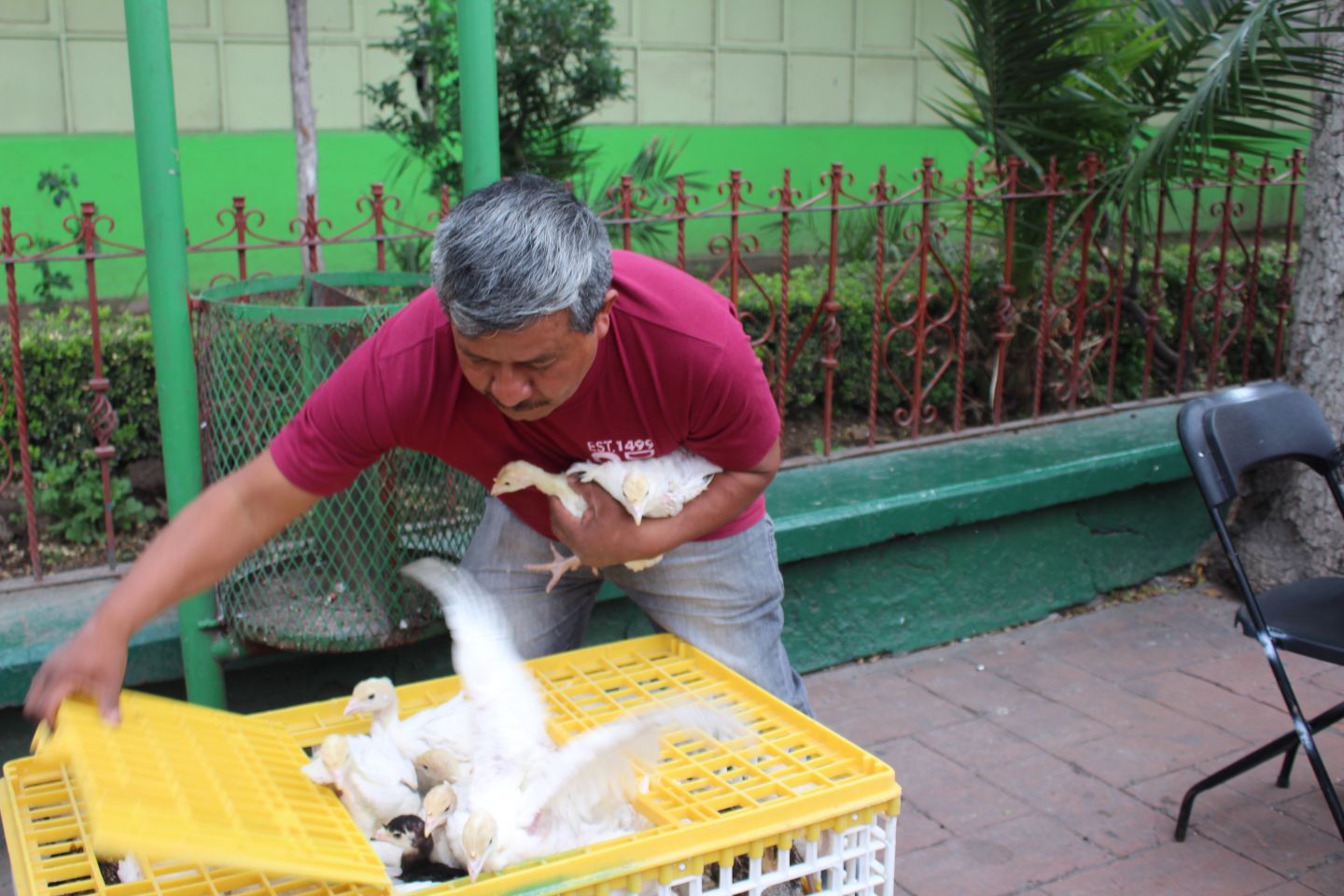#En Ixtapaluca fomentan producción y autoconsumo de aves de traspatio 