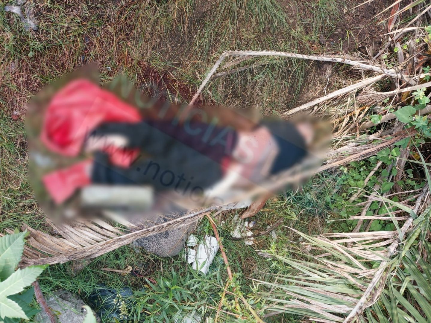 Encuentran cadáver carcomido por las ratas en paraje de Los Reyes La Paz
