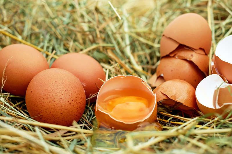 7 mitos que han hecho que dejes de comer huevos (sin razón)