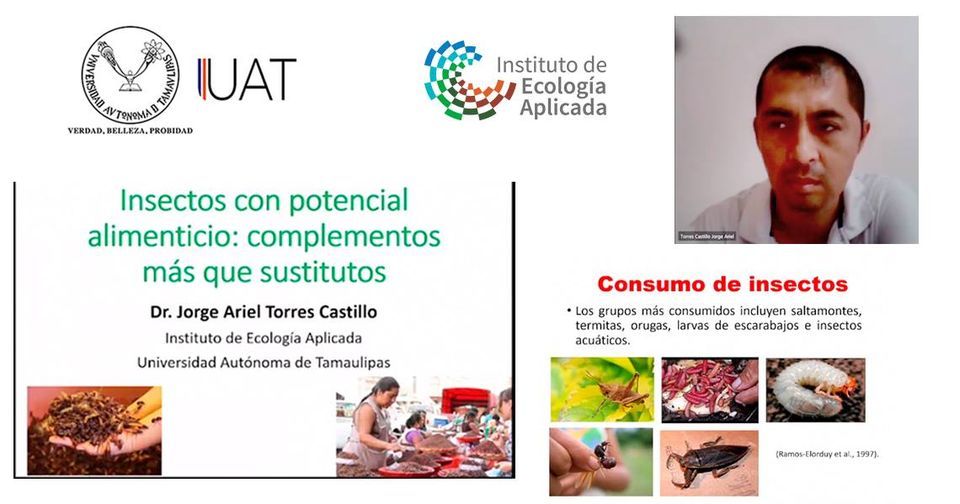 Promueve UAT cultura del consumo de insectos comestibles 