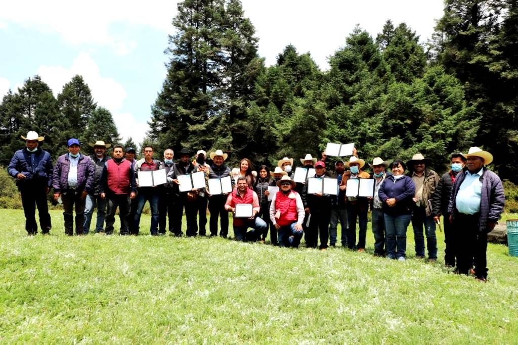 El GEM y el Consejo de Administración Forestal entregan el primer certificado de buen manejo sustentable  a siete predios de la Región Mariposa Monarca