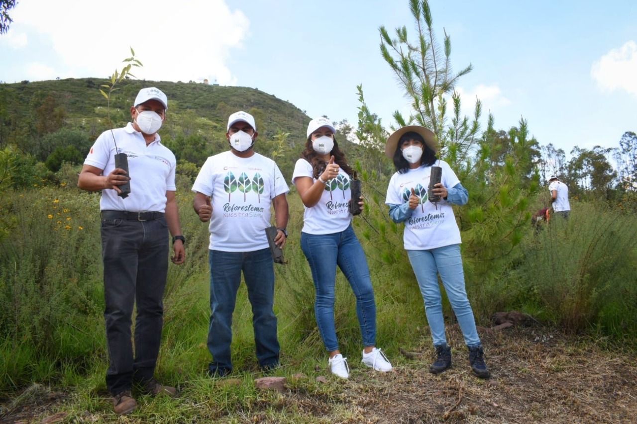 Gobierno coacalquense realiza magna jornada de reforestación en la Sierra de Guadalupe