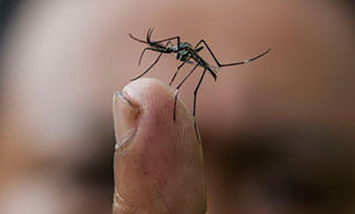 Guerrero ocupa el tercer lugar con más casos de dengue: Ssa