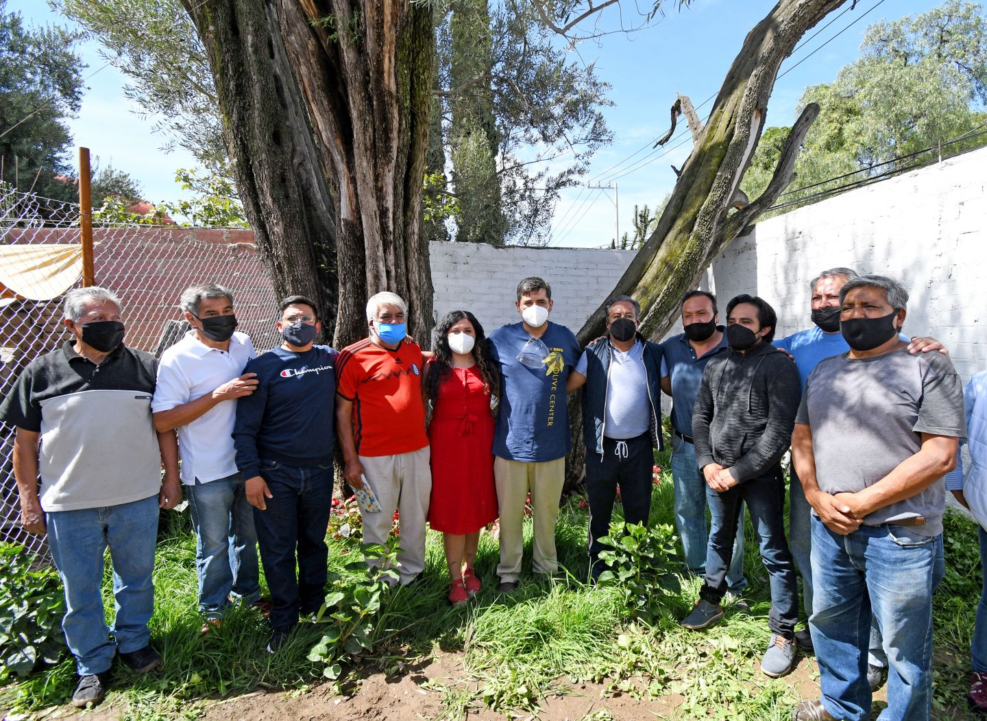 #Chimalhuacán será sede del Concurso Internacional de Olivos Patrimoniales: Jesús Tolentino