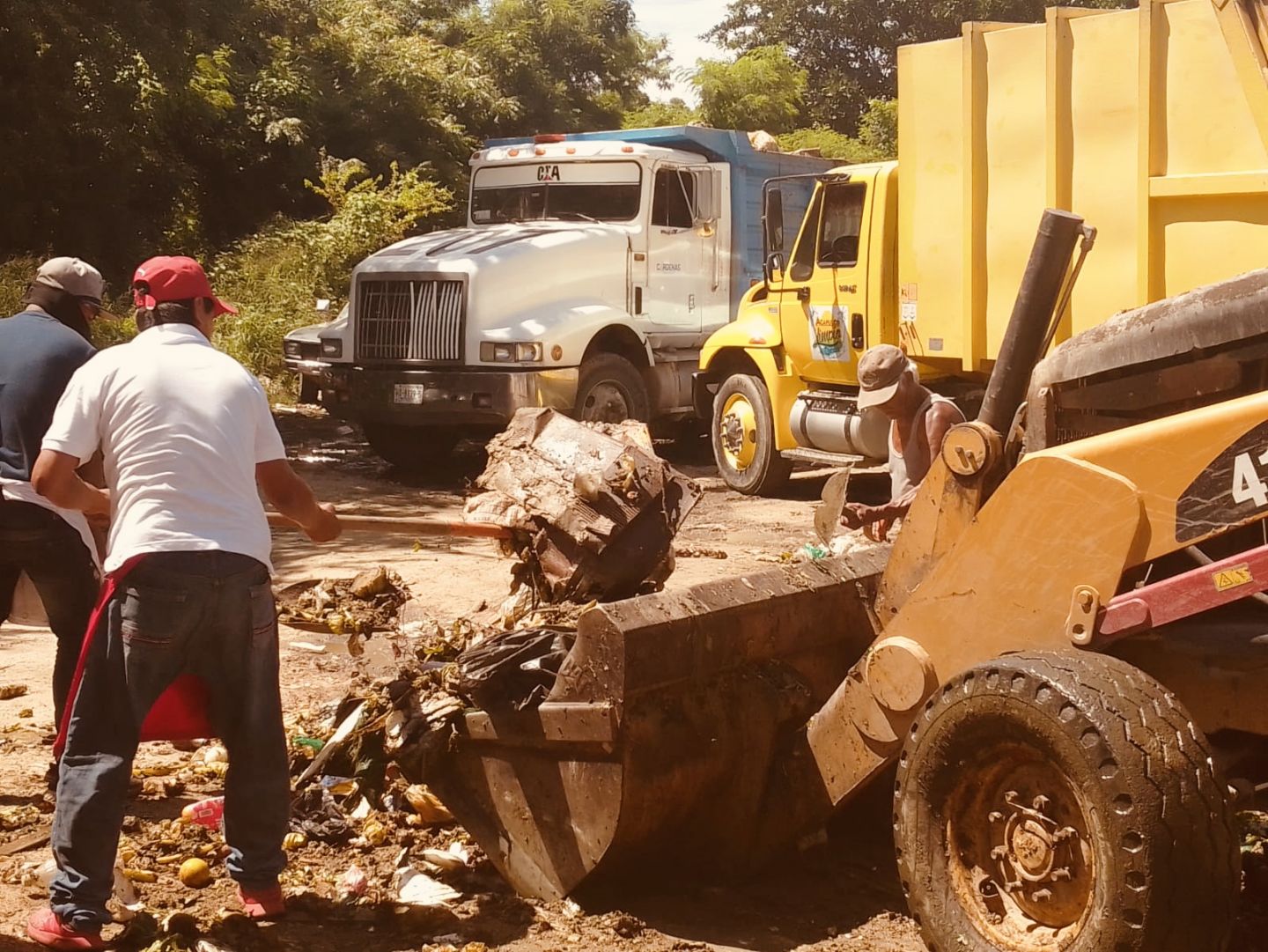 Se requiere mayor participación social para limpiar Acapulco: Saneamiento Básico 