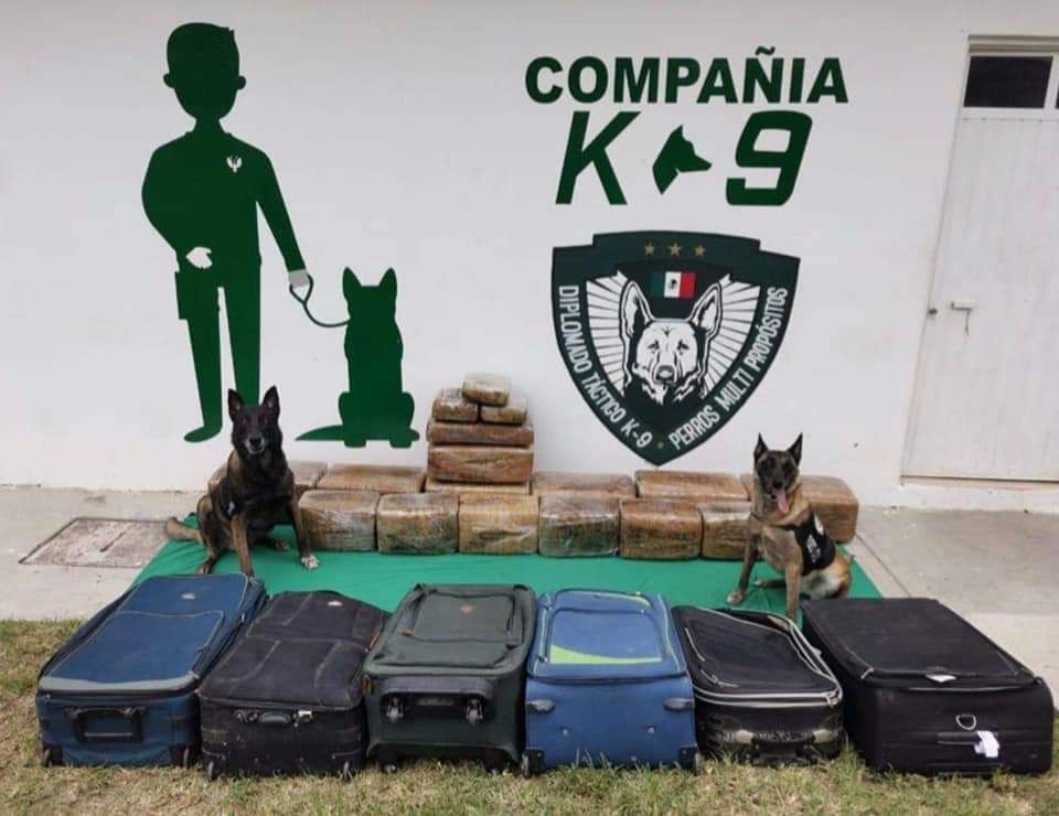 Decomisa SSP seis maletas con enervantes en la Central de Autobuses de Xalapa.
