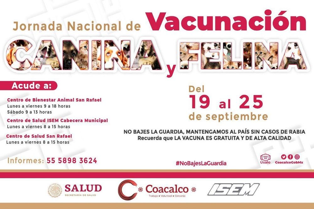 Coacalco llevará a cabo Jornada Nacional de Vacunación Canina y Felina del 19 al 25 de septiembre
