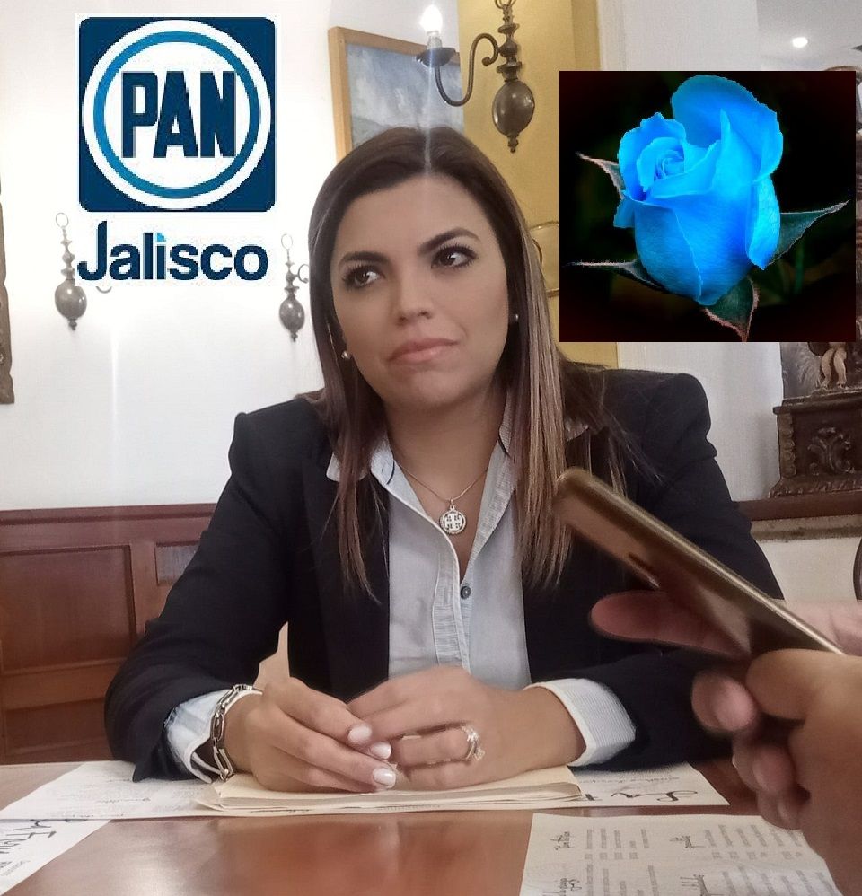 Nadie es dueño de Acción Nacional en Jalisco, "buscaré recuperar el PAN que conocí": Dora González