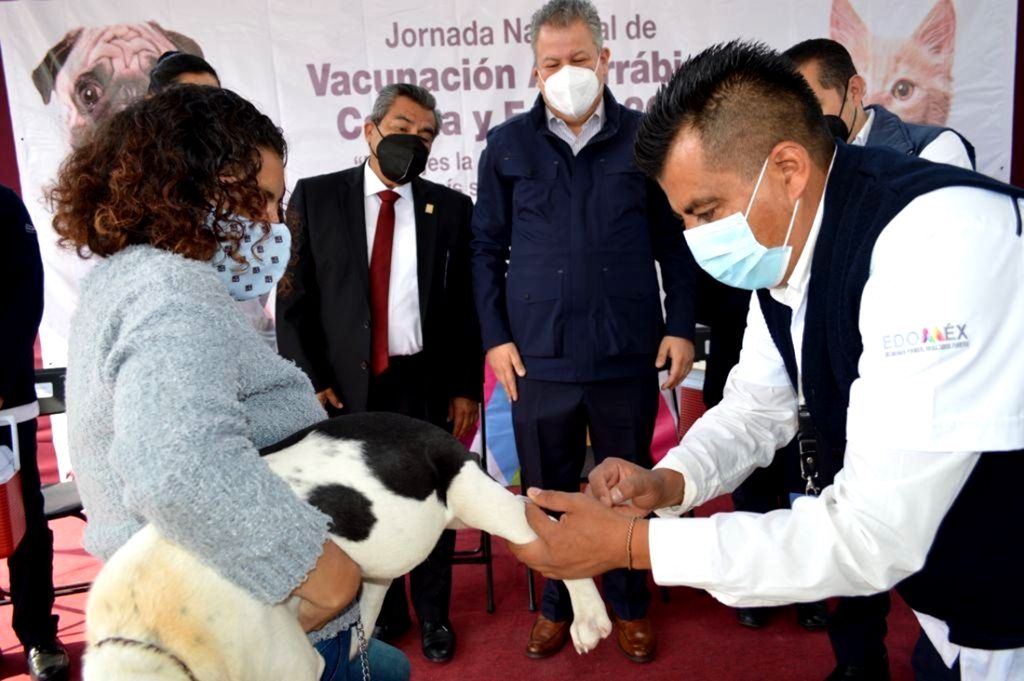 Inauguran Jornada Nacional de vacunación antirrábica canina y felina 2021; la meta es aplicar más de 3 millones de dosis 
