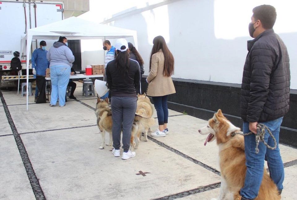 Participa Texcoco en jornada nacional de vacunación canina y felina 2021