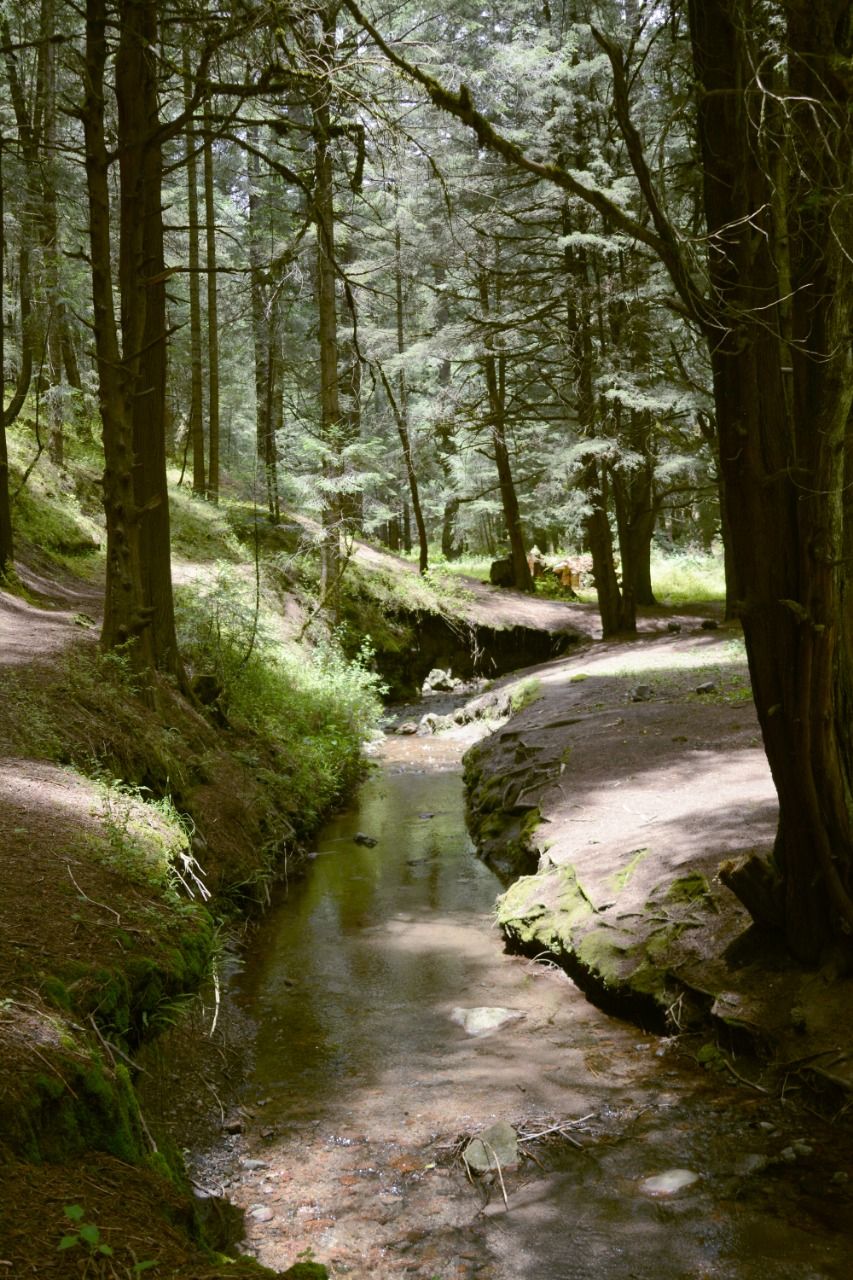 ¿Te gusta la naturaleza y la fotografía? Ixtapaluca te invita a concursar
