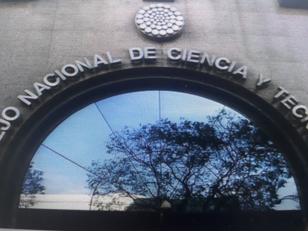#Bancada de MORENA en el SENADO se divide ante el caso judicial contra CIENTÍFICOS